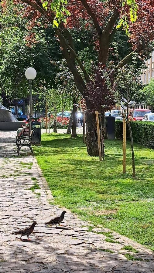 Apartman Jaki Záhřeb Exteriér fotografie